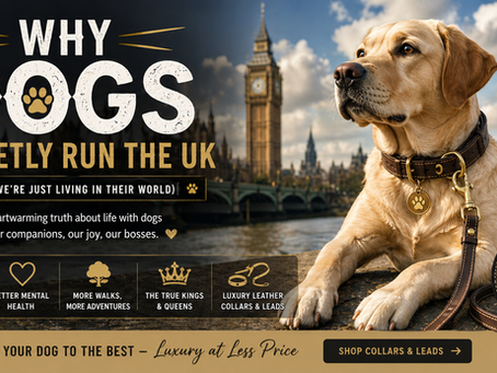 Why Dogs Secretly Run the UK (And We’re Just Living in Their World)