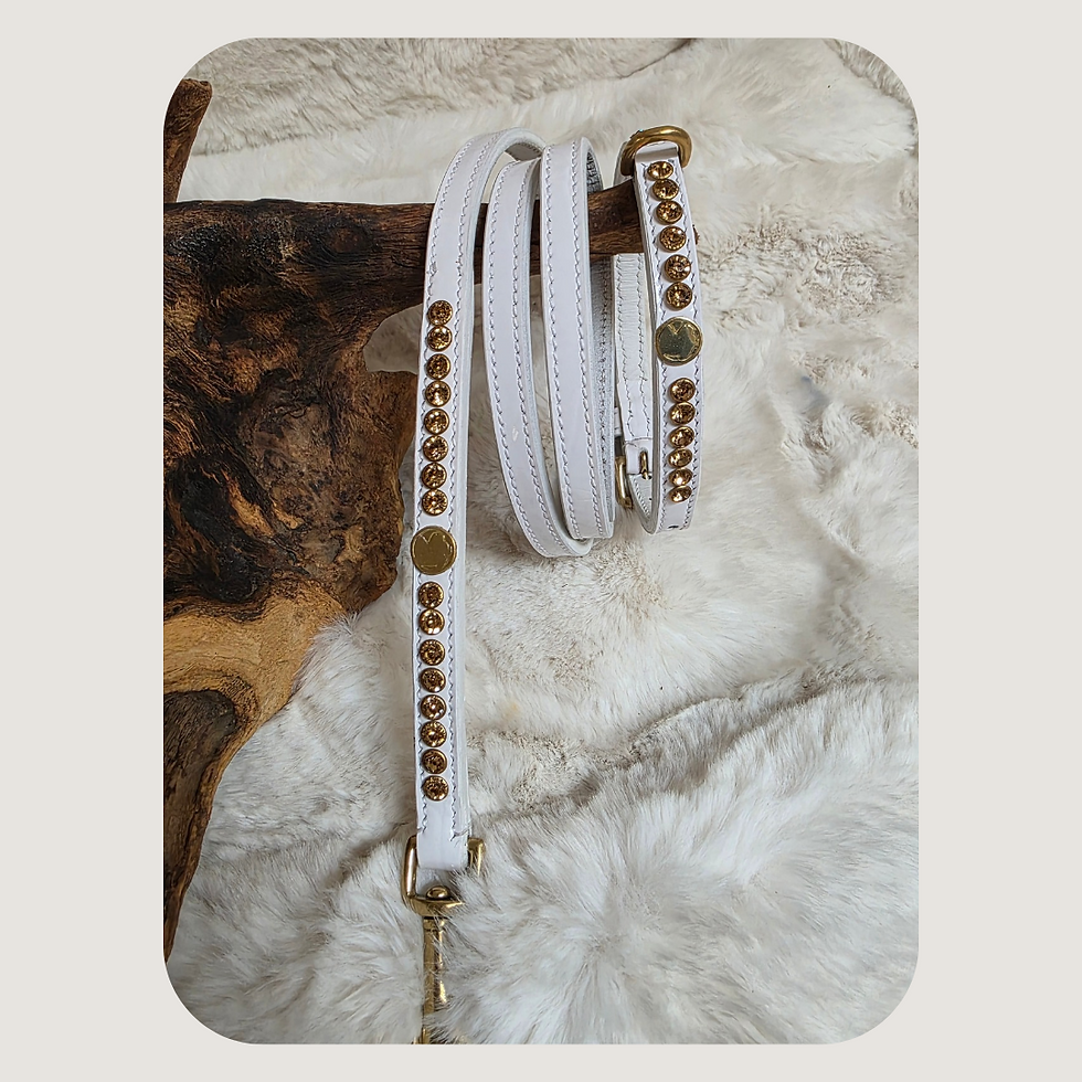 Thumbnail: Puppy Staffordshire Bull Terrier Show Style Collar and Lead Set

