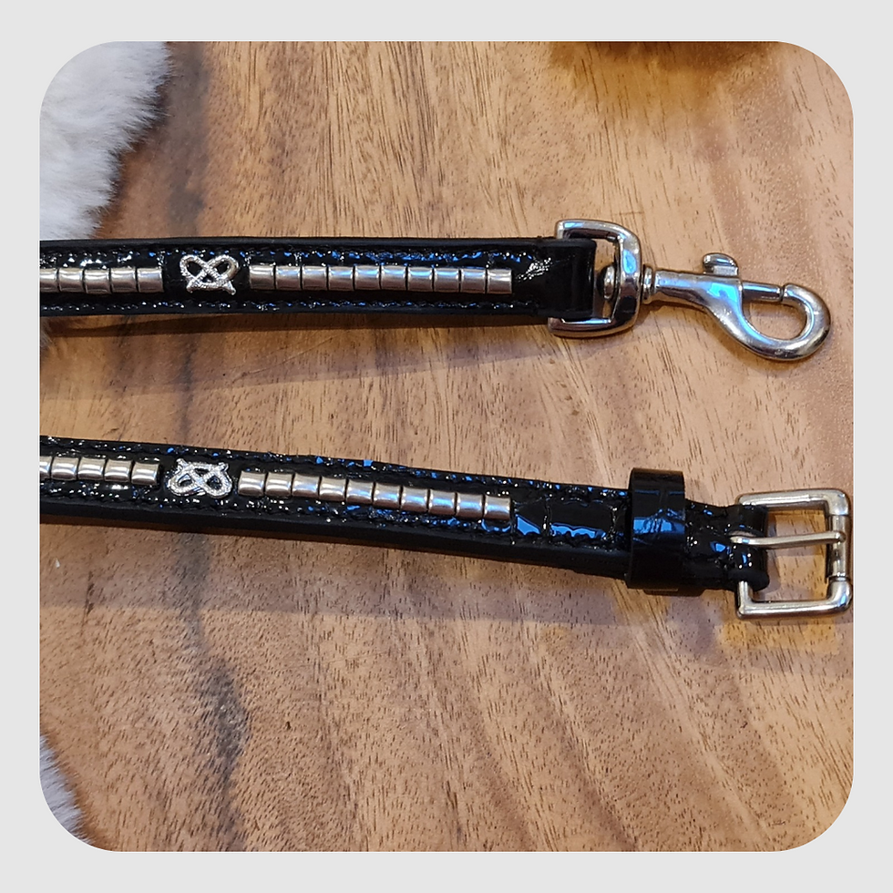 Thumbnail: Leather Staffordshire Bull Terrier Show Collar and Lead Set – Black Croc Pattern