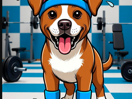 Do Dogs Sweat? The Surprising Truth About Paw Pads, Noses, and How They Really Stay Cool