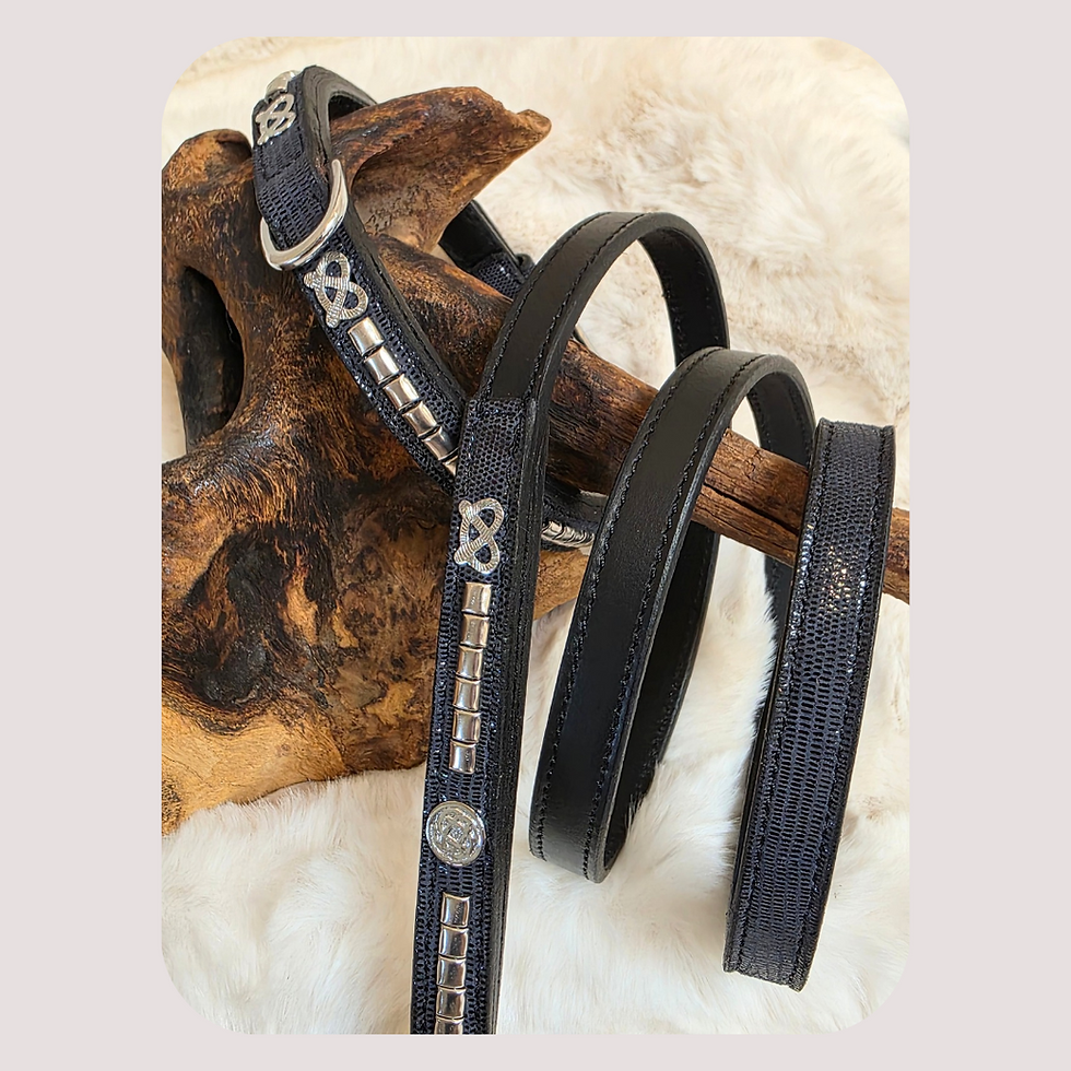 Thumbnail: Black/Blue Lizard Print Goat & Buffalo Leather Staffy  Collar & Lead Set

