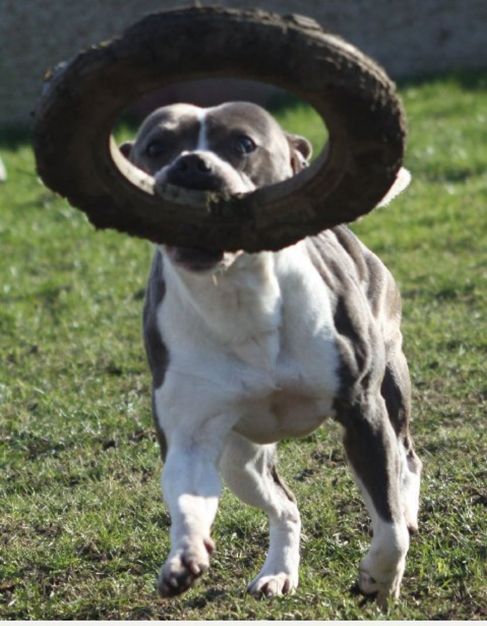 ree