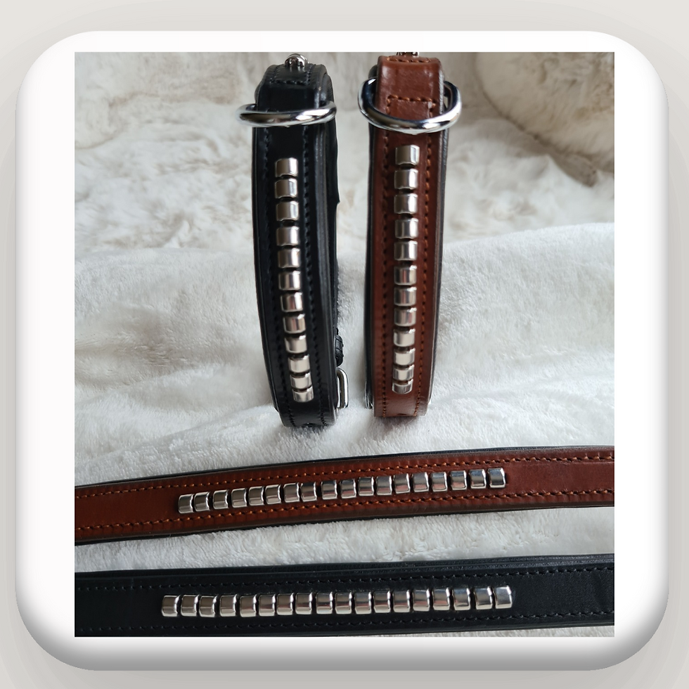 Premium leather dog collar and leash set (13-17in) with brass hardware, perfect for stylish UK pups