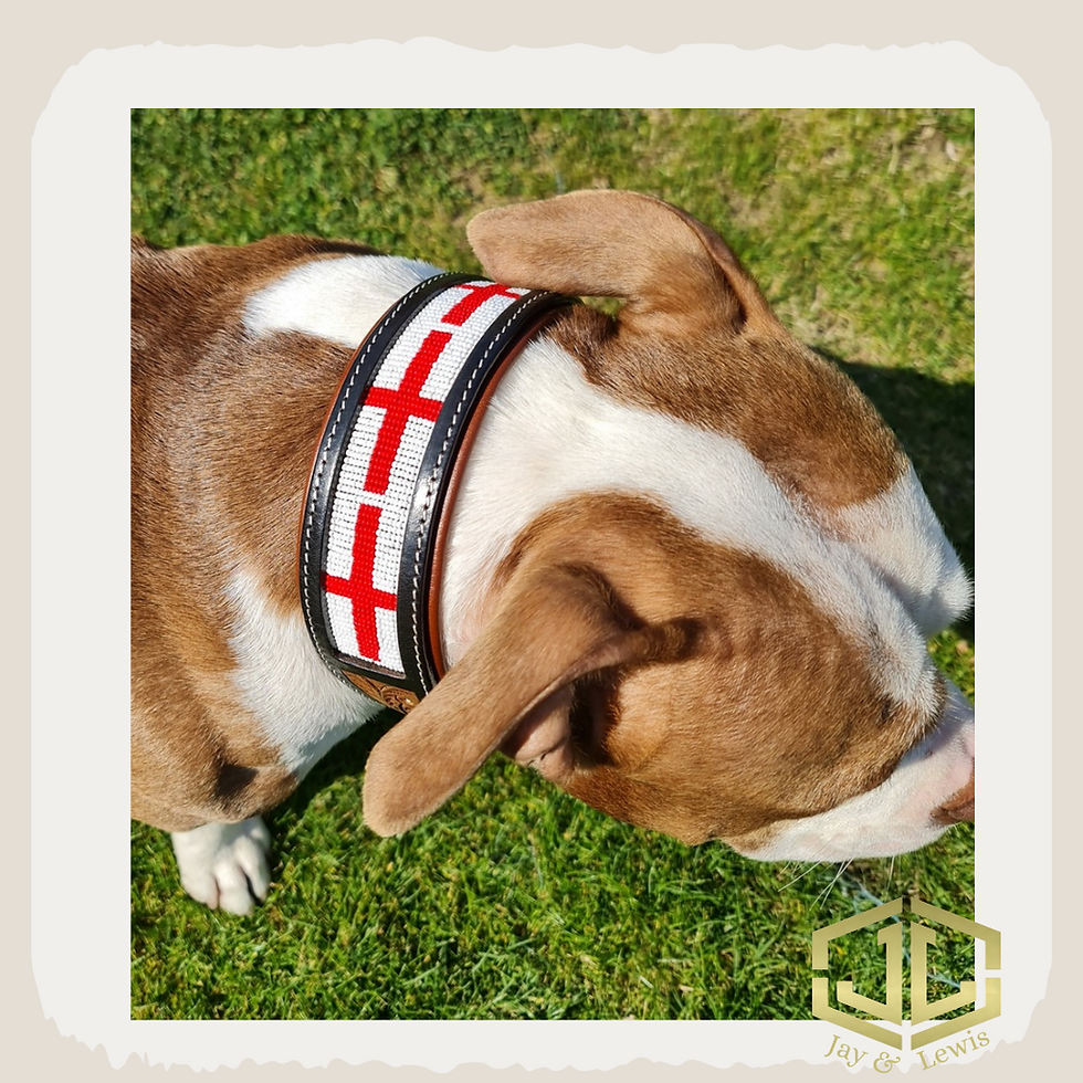 Thumbnail: Handcrafted St. George's Cross Buffalo Leather Dog Collar

