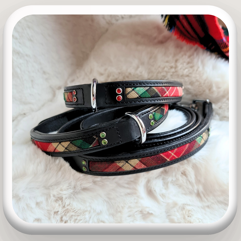 Thumbnail: Tartan heavy duty collar, black buffalo leather, red tartan, padded lead handle