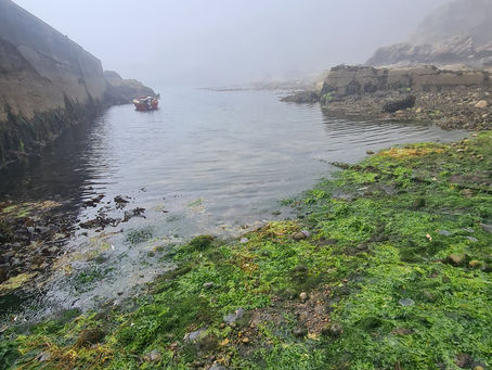 A Misty Morning at Cove Bay Harbour: A Walk to Remember