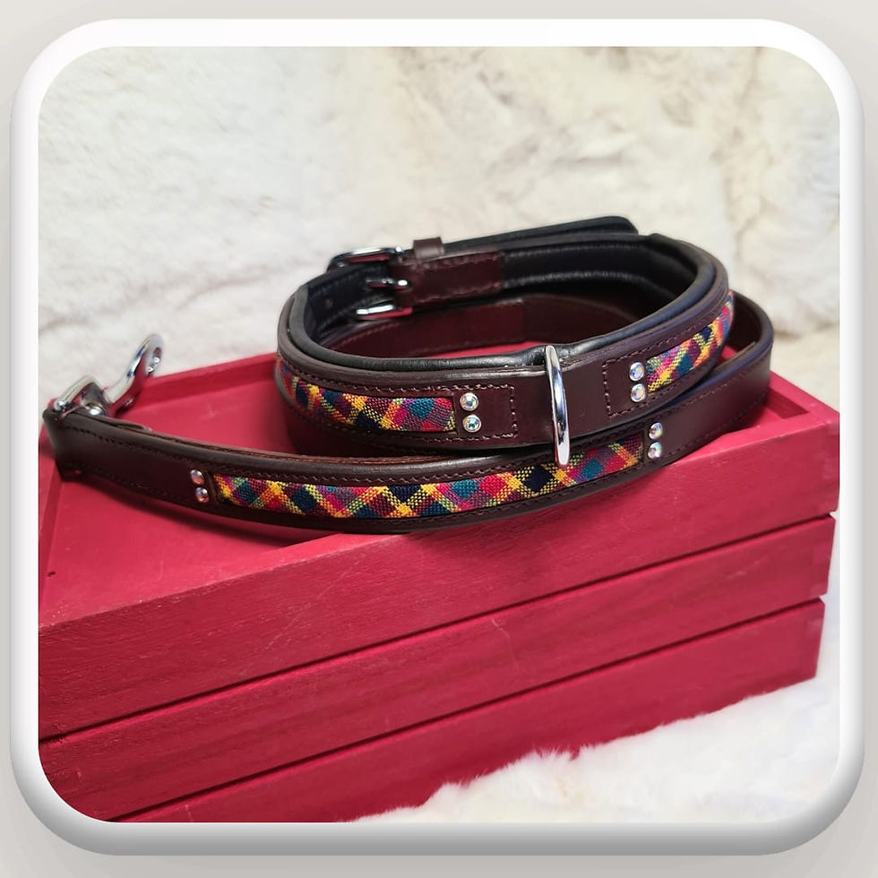 Thumbnail: designer collarand lead set best reviews handcrafted, best leather