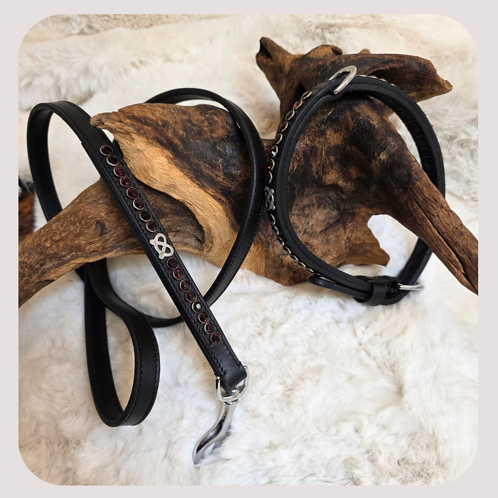 Thumbnail: Staffy Iconic Stafford Knot Burgundy Gem Show Set  Black 