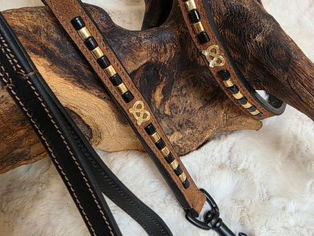 New In Stock Now, Staffordshire Bull Terrier Show Collar and Lead Set