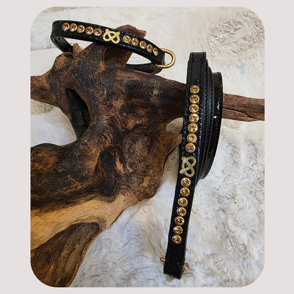 Thumbnail: Puppy Lizard Print Patent Staff Show Style Collar Set 