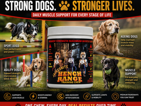 Hench Range JackedBite: Supporting Muscle Health in Active Dogs with a Daily Training Chew