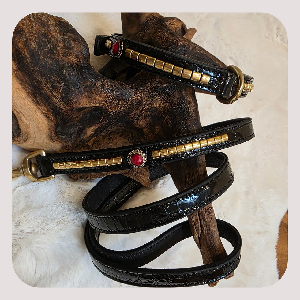 Thumbnail: Staffy Show Collar/lead Set Croc Pattern Patent Leather 