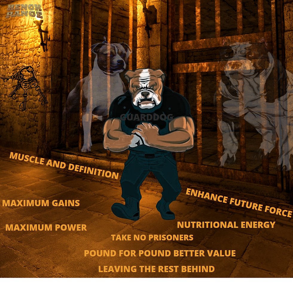 Thumbnail: Hench Range Jacked bite chews, high-protein for muscle growth, free UK shipping