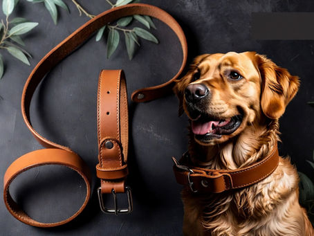Why Vegetable-Tanned Leather is the Best Choice for Your Dog’s Collar & Leash