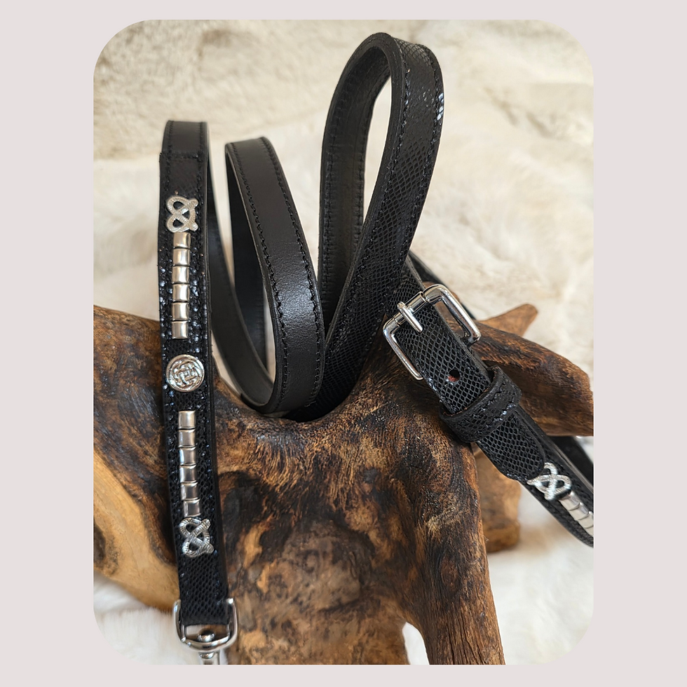 Thumbnail:  Lizard Print Patent Leather Limited Edition Staffie Show Collar & Lead Set

