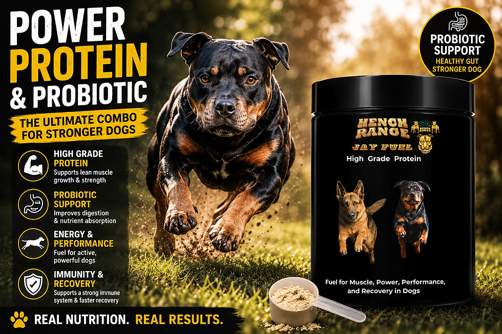 Jay Fuel for Dogs – The High Grade Protein Supplement Built for Muscle, Recovery & Performance