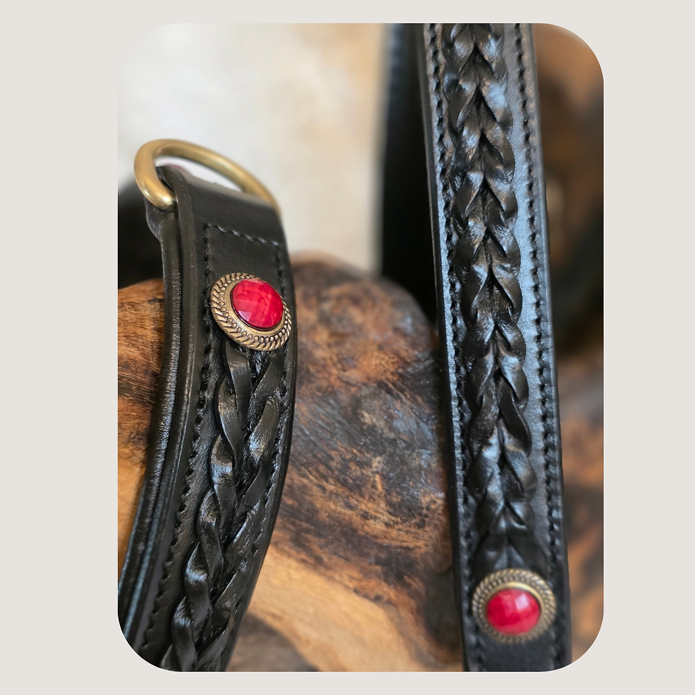 Thumbnail: Black Braided Red Gem Collar Lead Set Premium Leather 