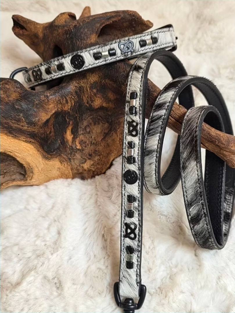 Black and White Pied