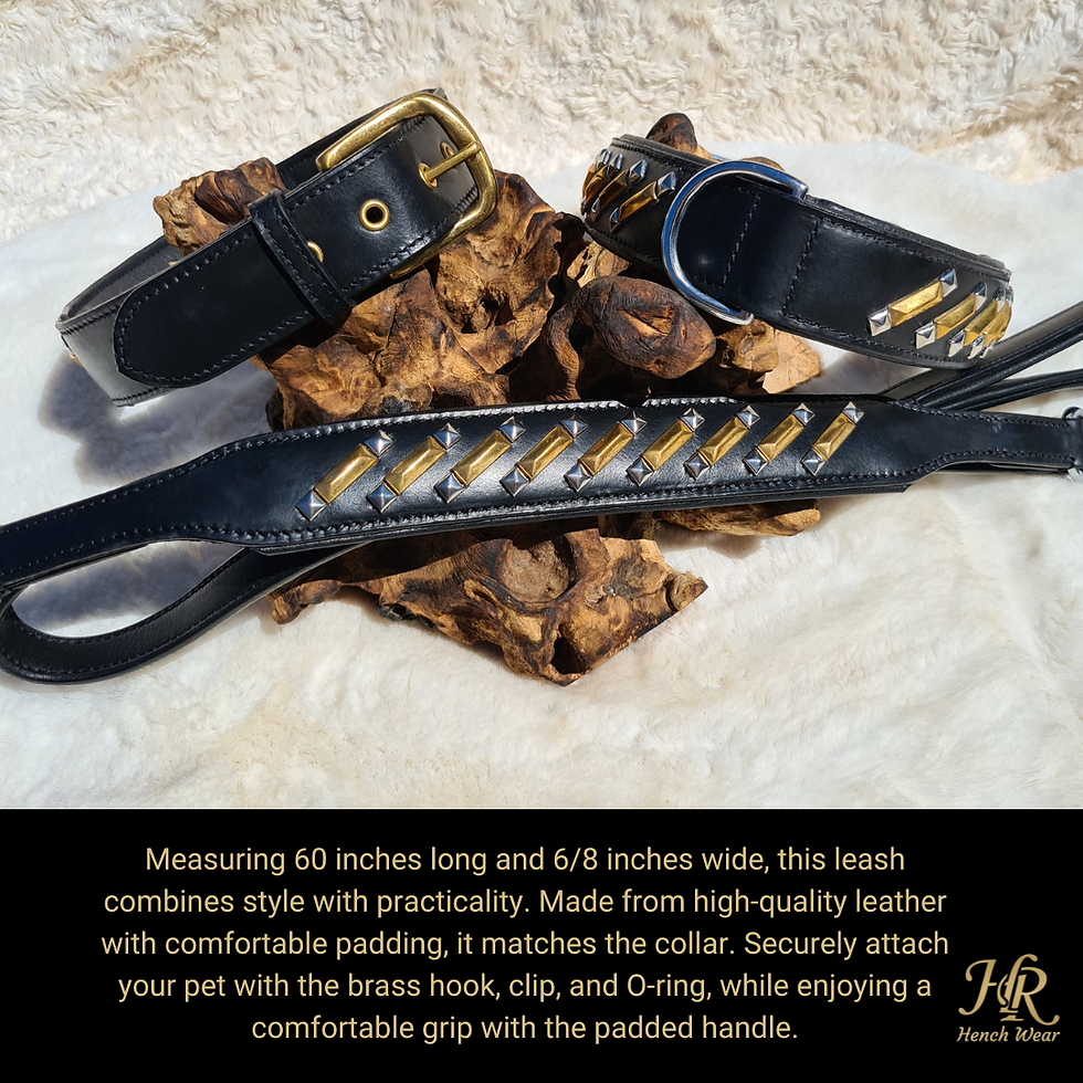 Thumbnail: Close-up of buffalo leather dog collar, Hench Range, eco-friendly for dogs, free UK shipping, bull breeds