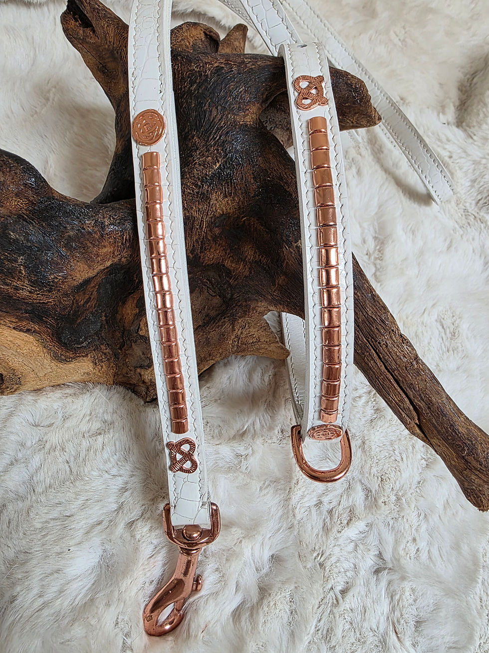 Thumbnail: White Croc Staffy Show Collar & Lead Set – Rose Gold 