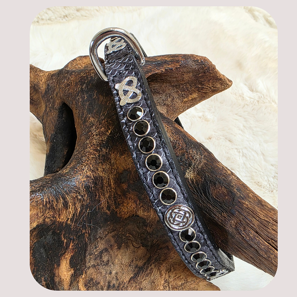 Thumbnail: Snake print Staffy Knot Show Collar Set 