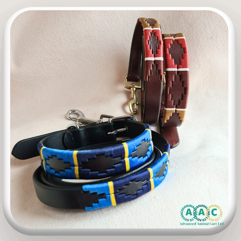 "14-18in polo leather dog collar and lead set, full grain, premium brown, free shipping uk