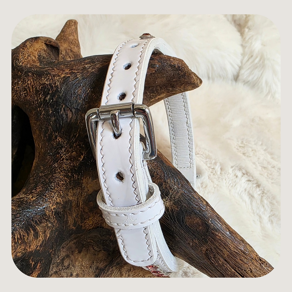 Thumbnail: White Patent Staffy Show Collar & Lead Ltd Ed