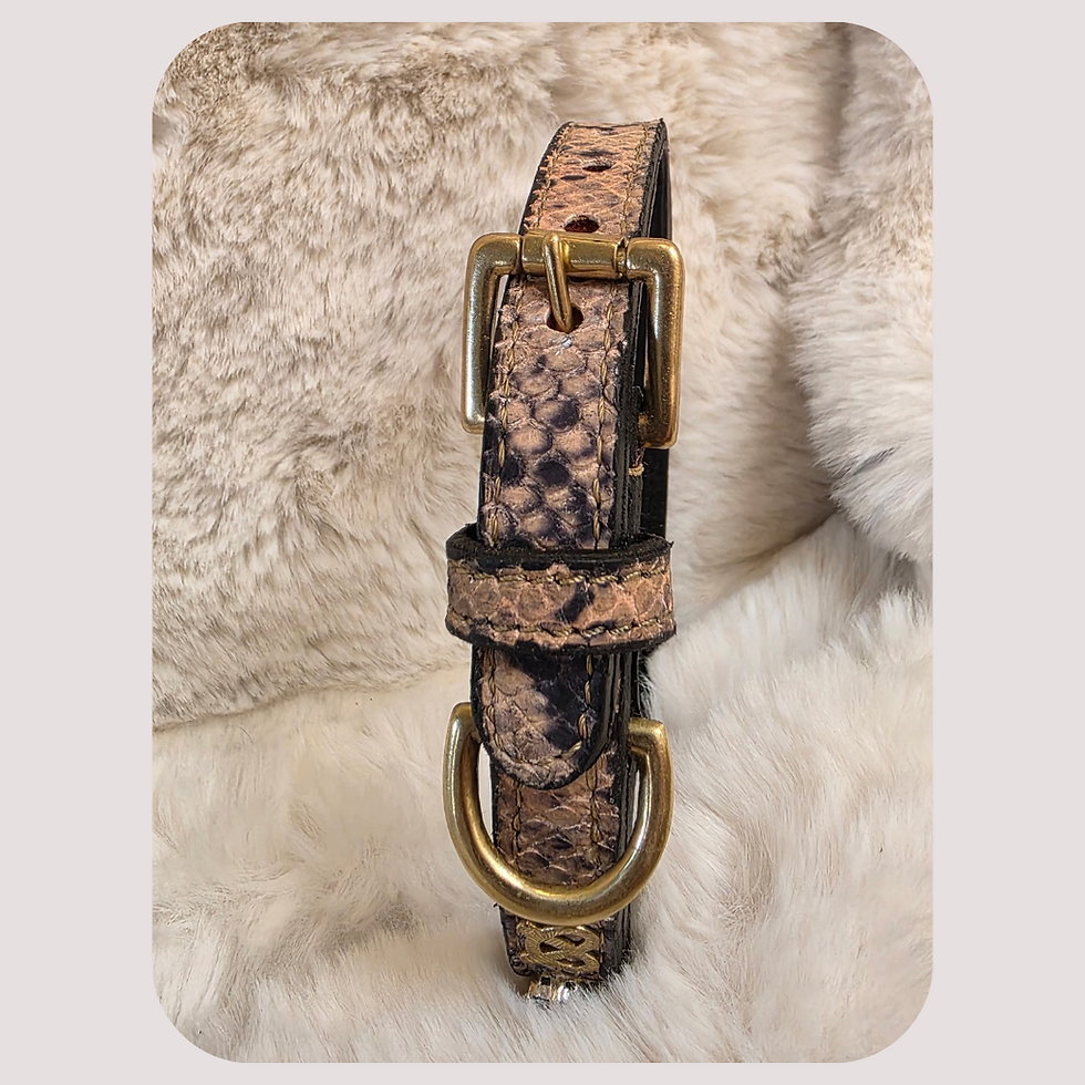 Thumbnail: Beige Snake Print Staffy Show Collar Lead Set 