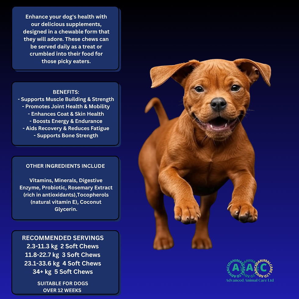 Thumbnail: MuscleMatrix Dog Muscle Building / Performance Chews 