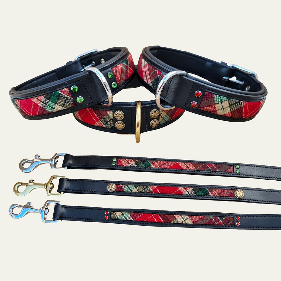 Thumbnail: Scottish Tartan Collar And Lead Set 20-24 Full Grain Eco-Friendly tanned 