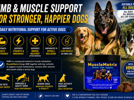 HMBarking Up the Right Tree: The Benefits of HMB for Dogs