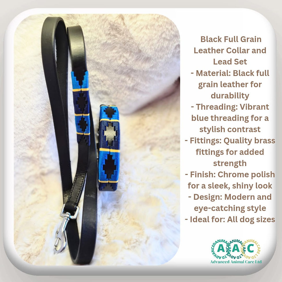 Thumbnail: designer collar for dogs,medium to small  large dogs