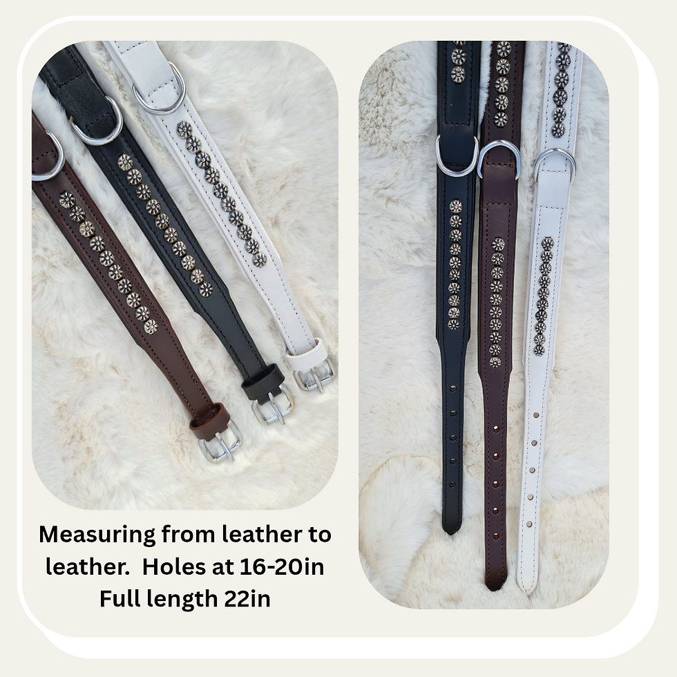 Thumbnail: British Bloom Leather Collar

