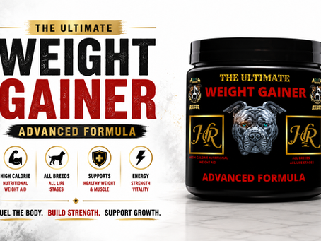The Best Dog Weight Gainer UK 2026: Hench Range Ultimate Weight Gainer Review