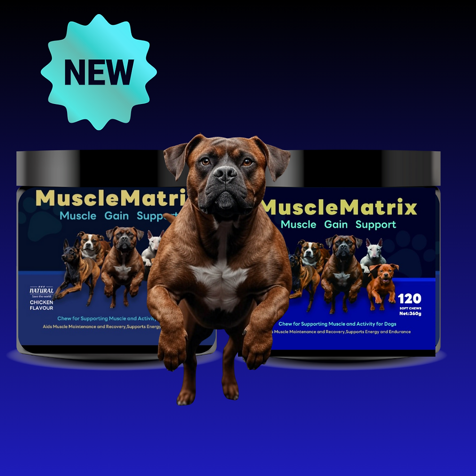 Now in Stores: MuscleMatrix Dog Muscle Building Chews
