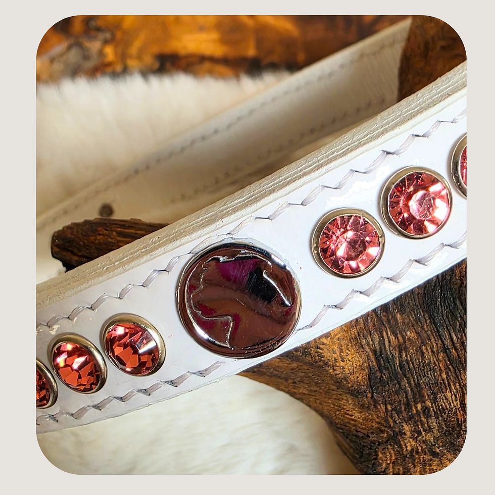 Thumbnail: White Patent Staffy Show Collar & Lead Ltd Ed