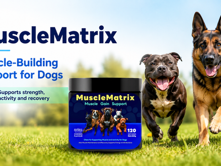 MuscleMatrix: Muscle-Building Support for Dogs