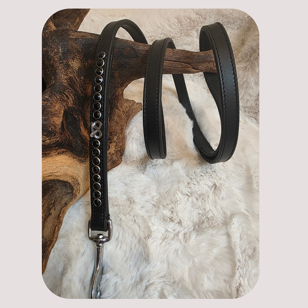 Thumbnail: Staffordshire Bull Terrier Show Collar and Lead Set – Premium Handcrafted Luxury