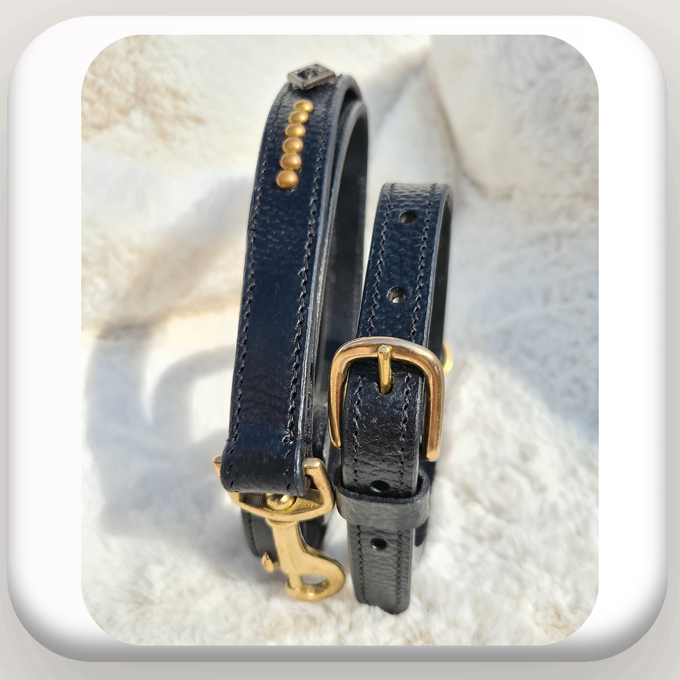 Thumbnail: Regal Black Guardian Handcrafted Leather Dog Collar with Brass Accents