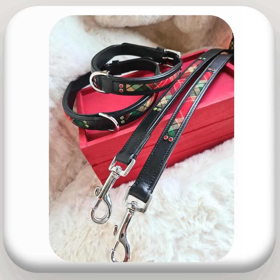Thumbnail: Black leather tartan dog collar, cow NDM padding, Hench Range, Scottish style