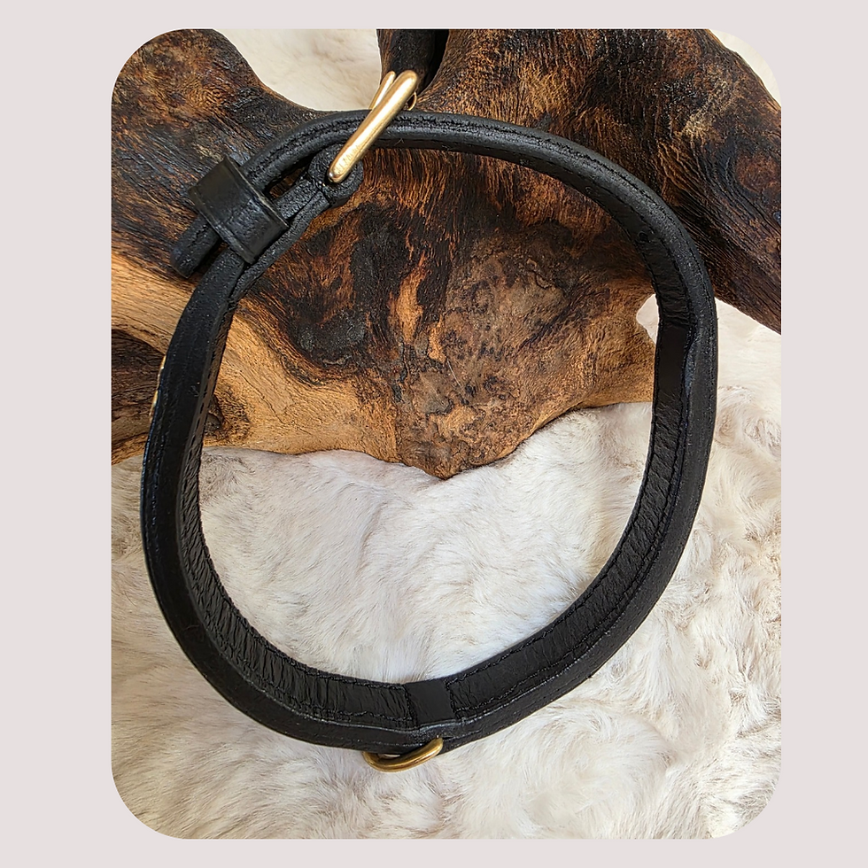 Thumbnail: Black Watch Tartan Staffordshire Bull Terrier Show Collar and Lead Set – Limited