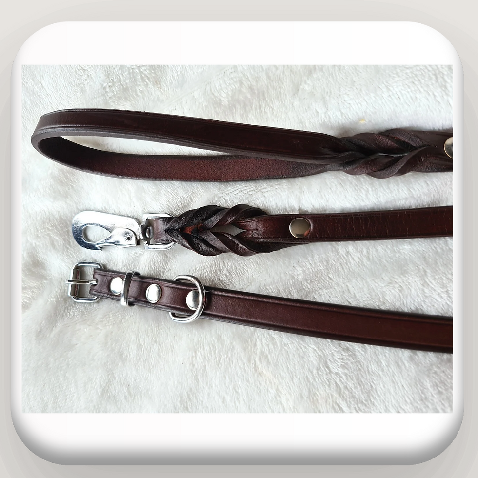 Thumbnail:  Braided Lead Set. Premium Leather Full Grain Brown 
