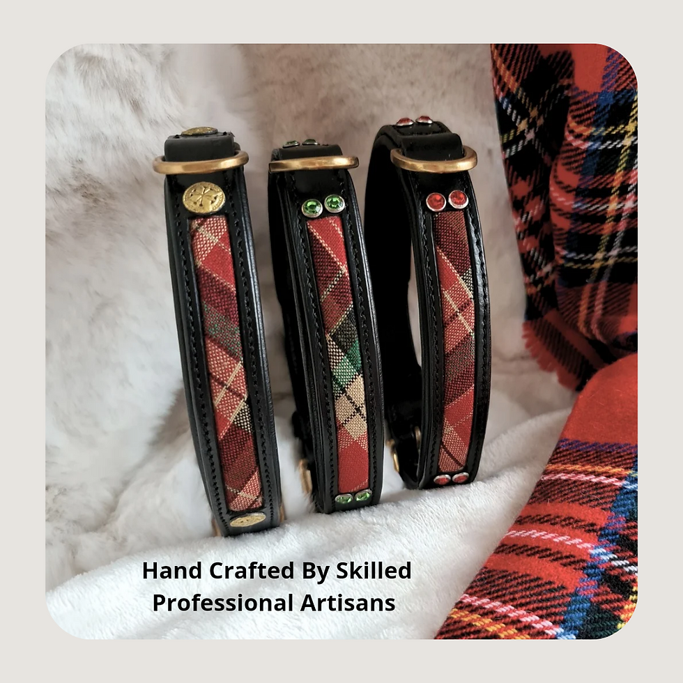 Thumbnail: leather tartan show collar staffy,  scottish tartan red black
