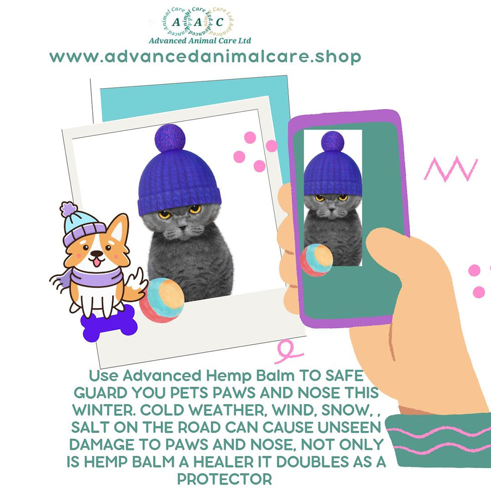 Thumbnail: HEMP BALM 50g