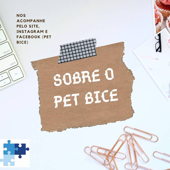 Sobre o PET BICE