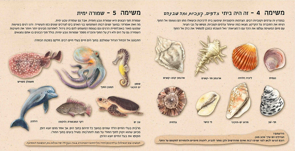 משימה 4-5 - מוכן LWRZ.jpg