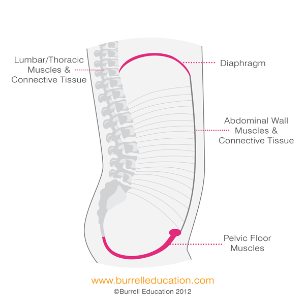 The Breath - Core - Pelvic Floor Connection