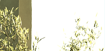 LE_054.png
