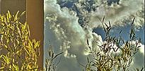 HDR_054.png