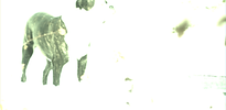 LE_085.png